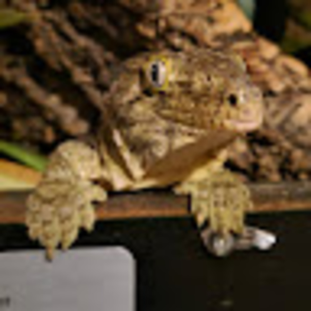 Meet your Posher, Zack